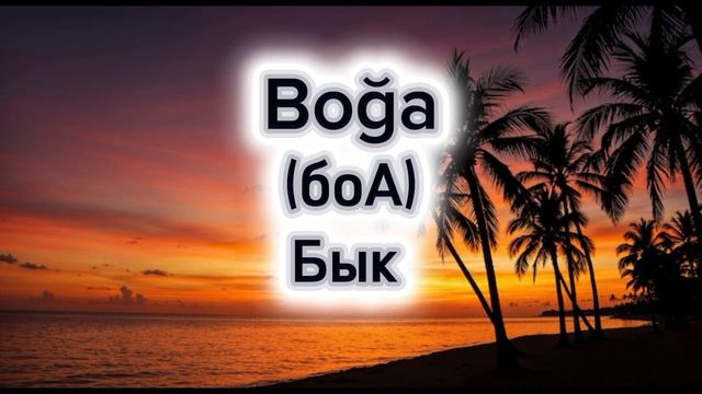 Домашние животные на турецком языке  как сказать кролик на турецком языке  учим турецкий