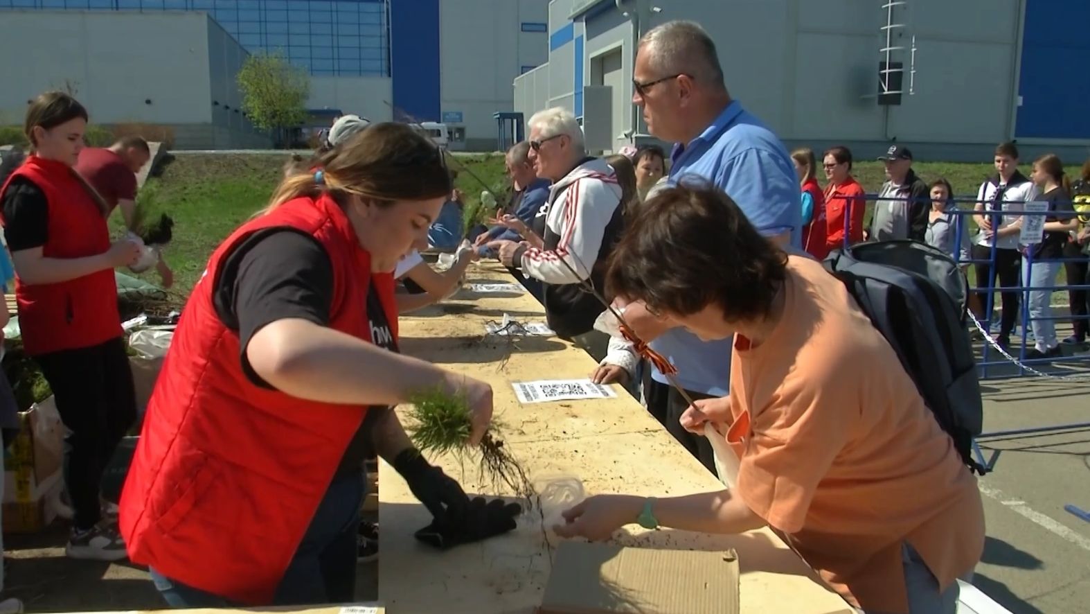 Время местное. Эфир:29-04-2026 -  Бесплатная раздача саженцев