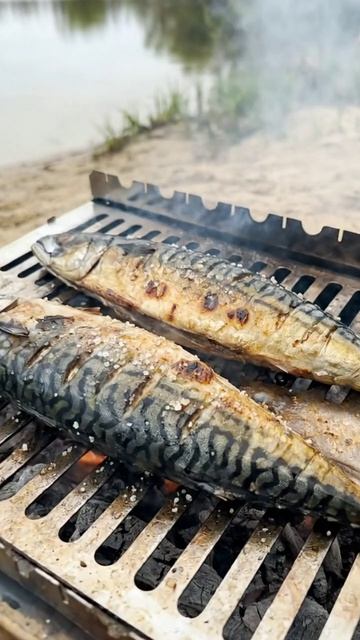 Хочется дождаться именно этого цвета