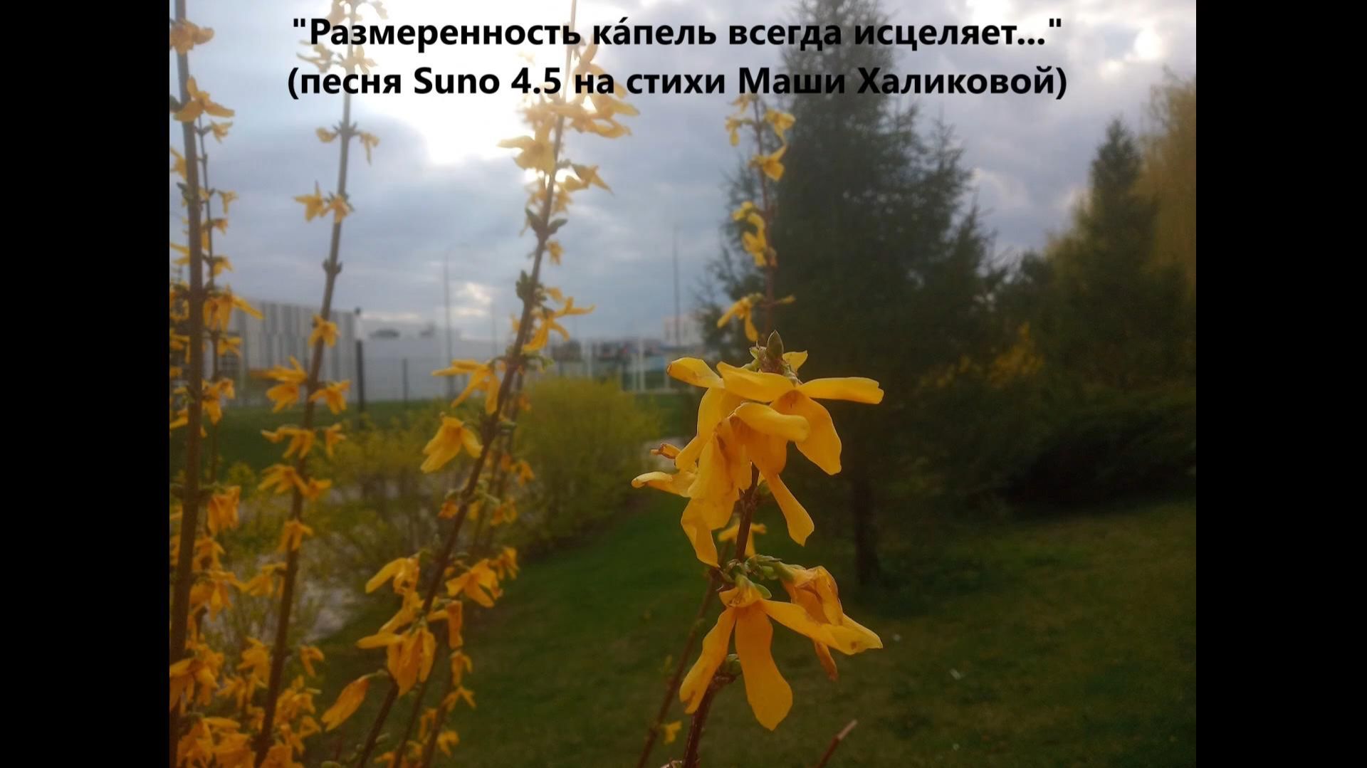 Размеренность кáпель всегда исцеляет... песня Suno 4.5 на стихи Маши Халиковой
