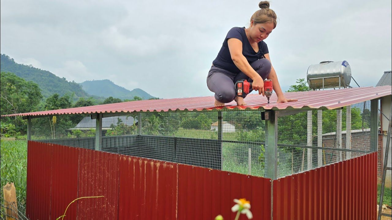 Я построил безопасный курятник для своей птицы  прочный простой и практичный.