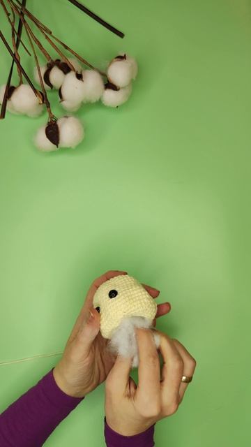 Очень важная утка