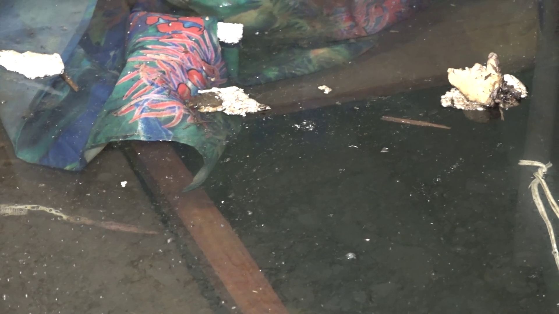 ВОДА БЕРЁТ СВОЁ