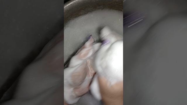 8450.mp4 смотреть онлайн