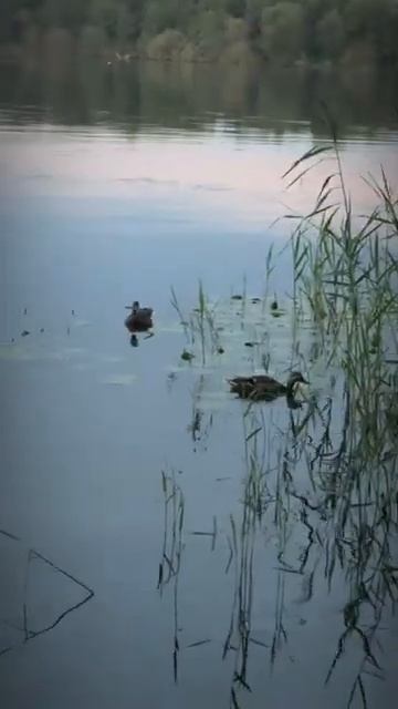 Обстановка на рыбалке.