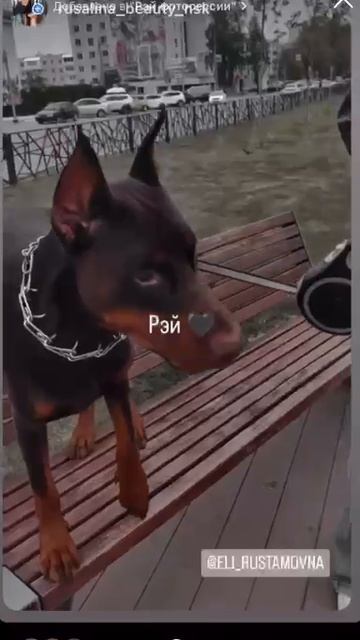 33bbc33e-e6d9-499e-ad7c-c04a3d2c3b73