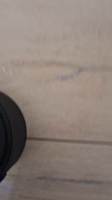 Алиса сиалор рино