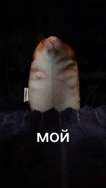 пытался повторить мем