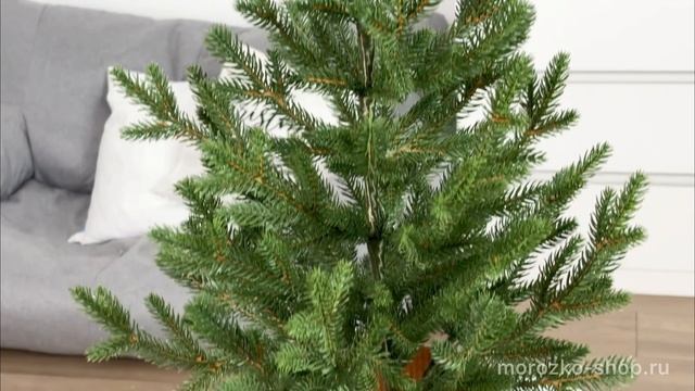 Настольная ель в кашпо Royal 80 см, ЛИТАЯ 100%, DC2155