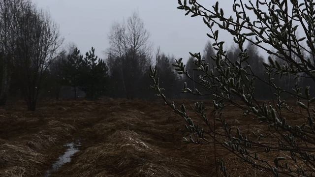 Холодное утро