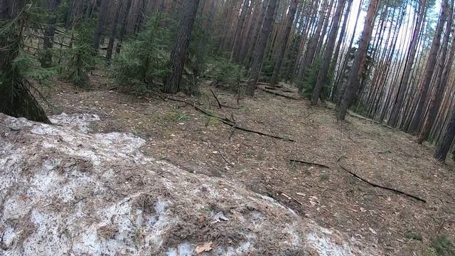 Велопрогулка 23.042026