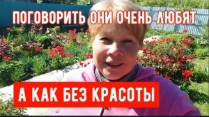 243🏡Мы дружим со всеми/Как без красоты/Завесила теплицу/Немного о моем питании