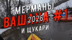 ВАШАНА 2026 №1, Мерманы и Щукари на Вашане 21 марта