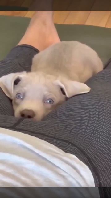 А ловко он это придумал...   Сгенерировано ИИ 