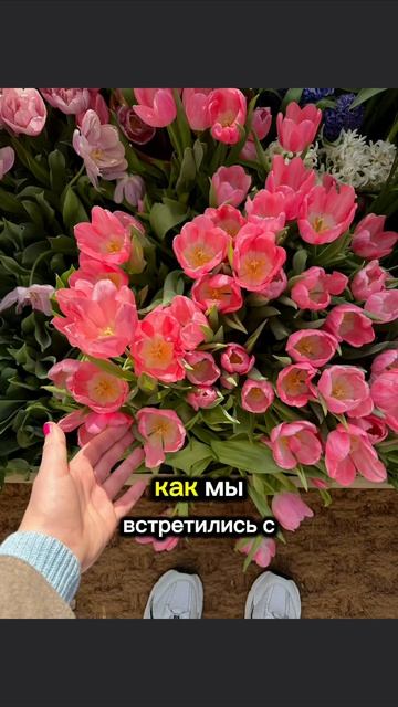 А вы уже посмотрели, какие цветы расцвели в Аптекарском огороде? 🌷 Планирую вернуться осенью на инте