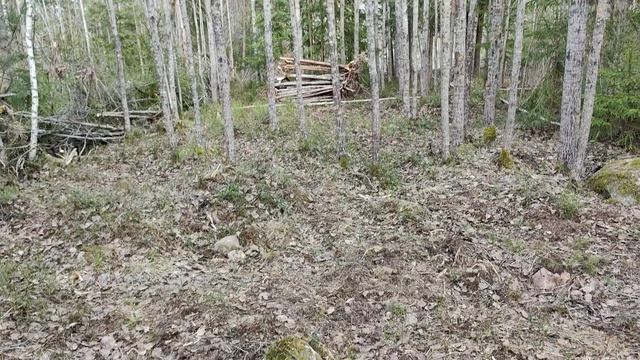 VID_20260429_170016.mp4