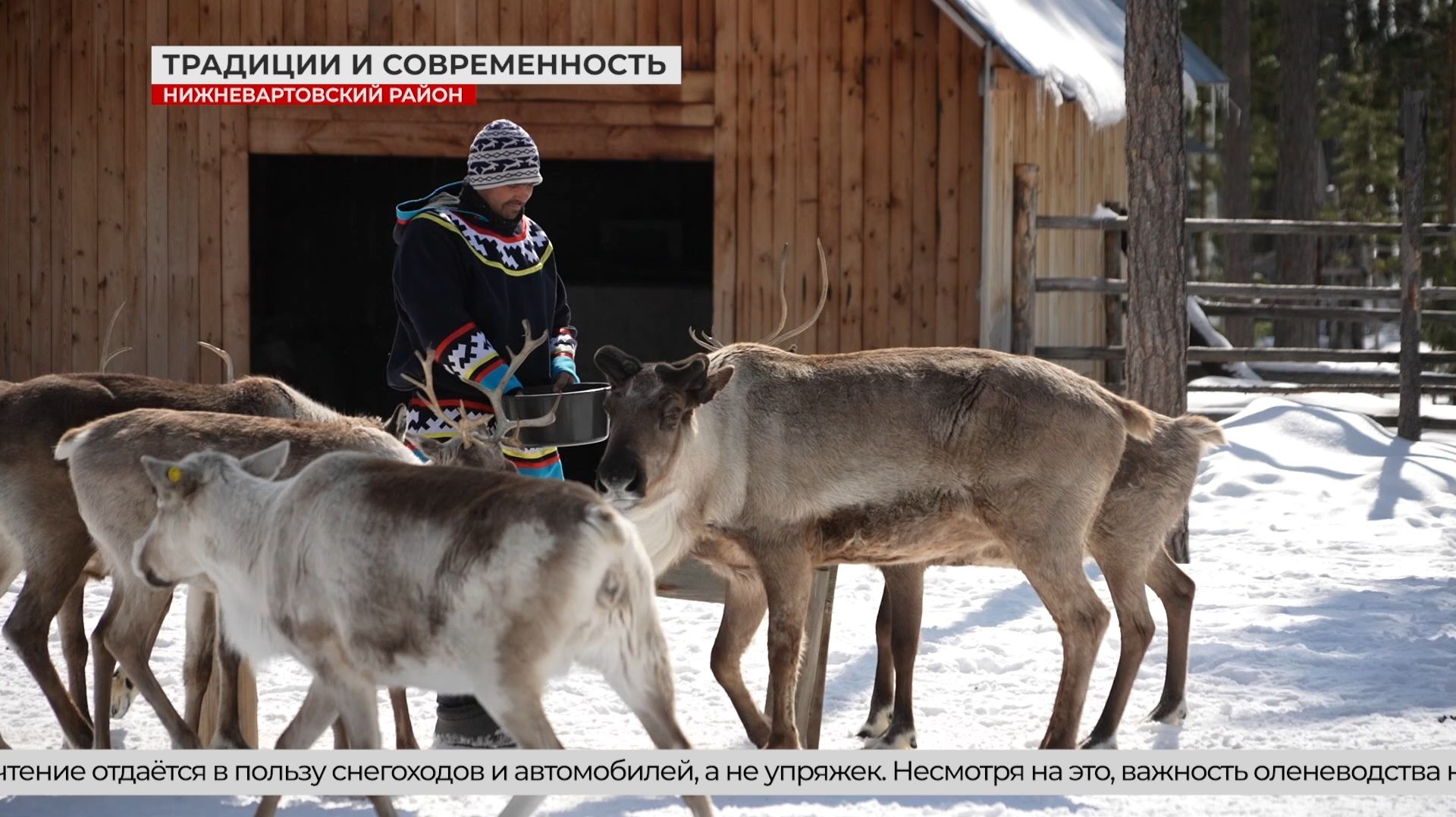 Жизнь на современном хантыйском стойбище