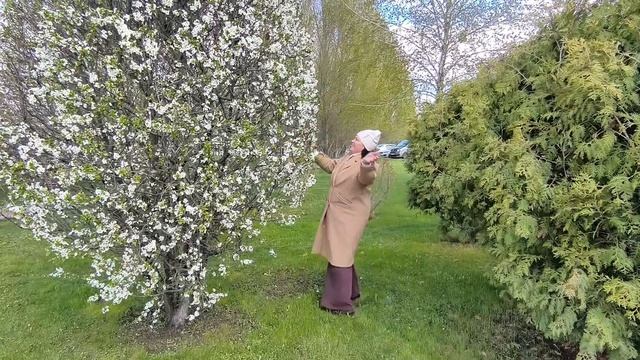 Всё равно прекрасны МЫ..... 29.04.26.