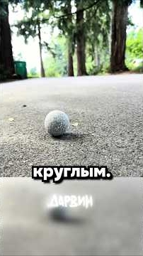 Круглый камень