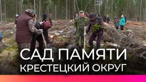 В Новгородской области началась акция «Сад памяти»