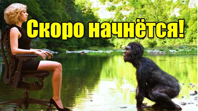 Квантовый компьютер для чайников ...