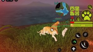 Играю в Jungle Life