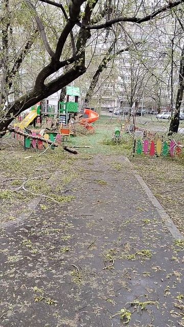 Последствия апрельского снегопада в Москве 2026. Сломаны деревья.
