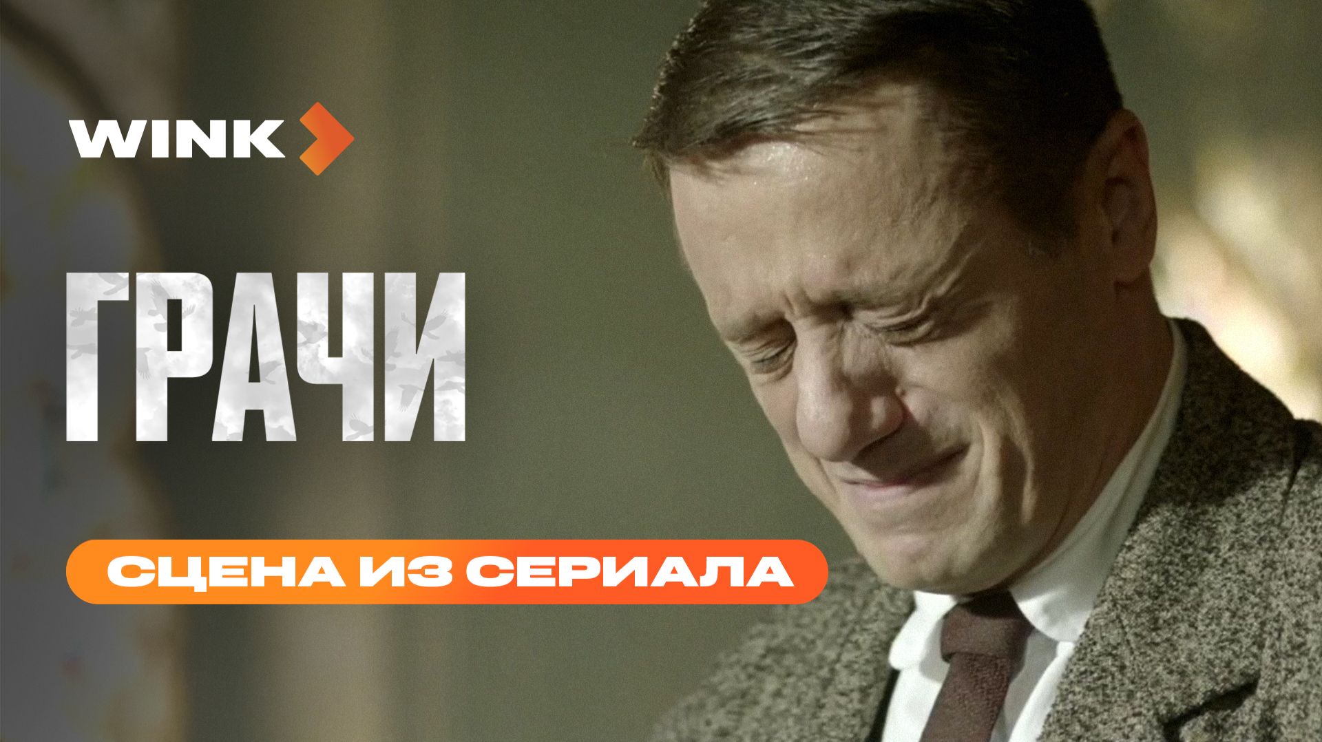 История жизни Гюнтера | Грачи | Wink (2026) смотреть онлайн