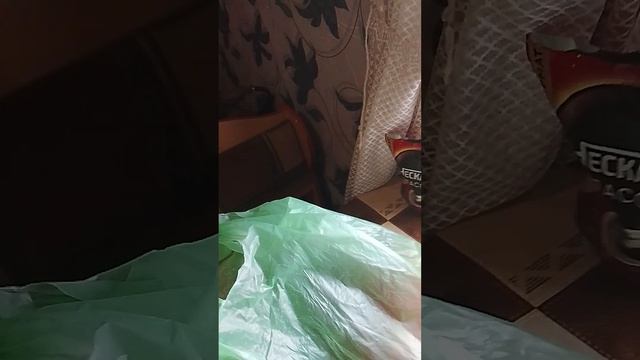 опять зима ходили в поликлинику