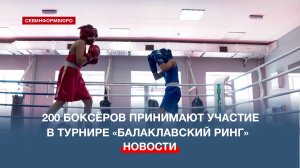 200 боксёров принимают участие в традиционном турнире «Балаклавский ринг»
