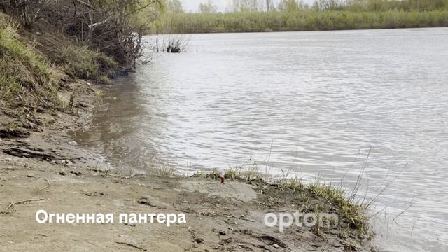 Огненная пантера