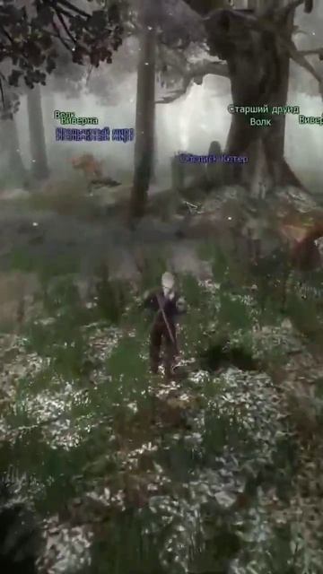 Биологическое новое ругательство😁 #vilmarionv #games #gaming #game #witcher #oldgames #ведьмак1