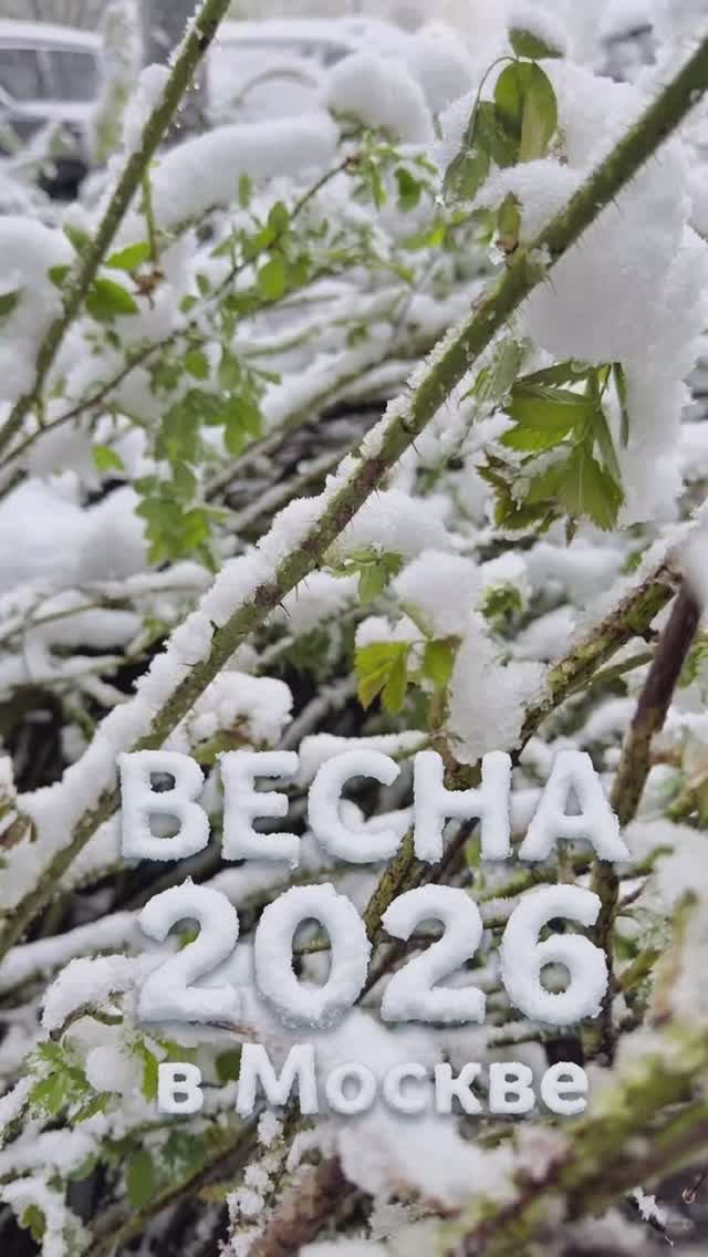На пороге май, а на дворе зима 🥶 А какая погода в вашем регионе?