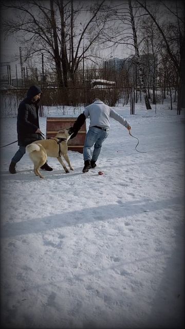 Защитник 😌