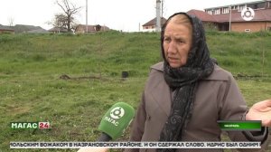 В Назрани продолжаются работы по озеленению