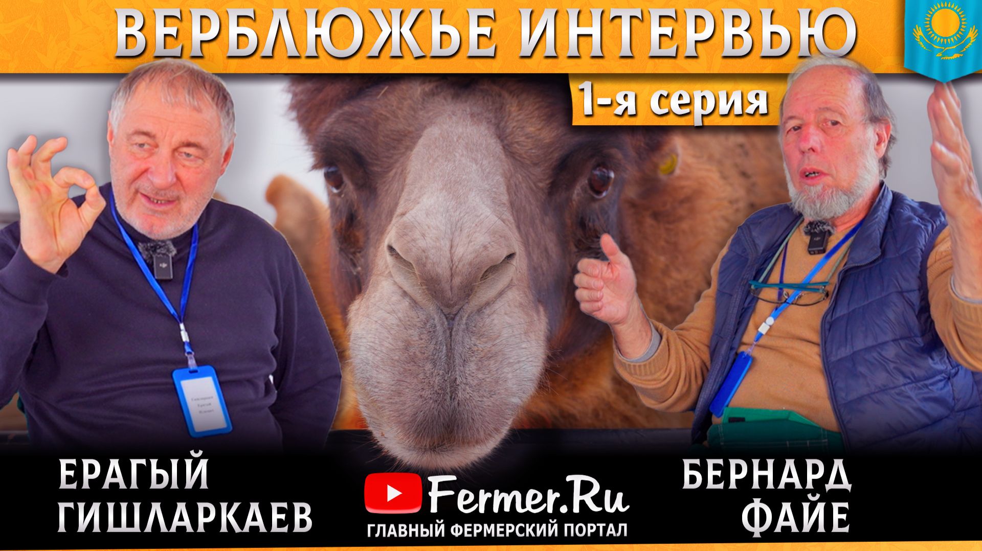 🐫Ерагый Гишларкаев верблюдовод? Да! И новый ведущий на канале! Беседа о верблюдах с Бернардом Файе