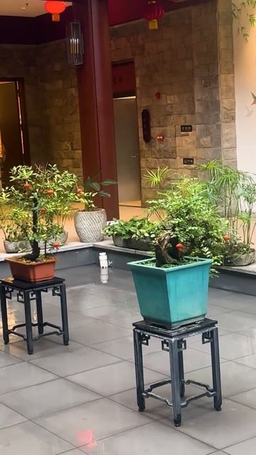 Дзен ресторан  Есть и медитировать!