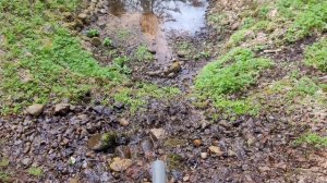 Комаровский берег