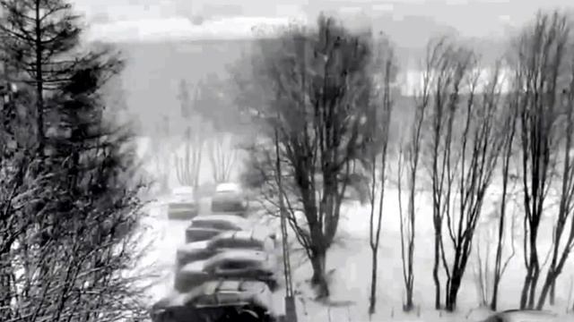 Мурманск завалило снегом за считанные часы