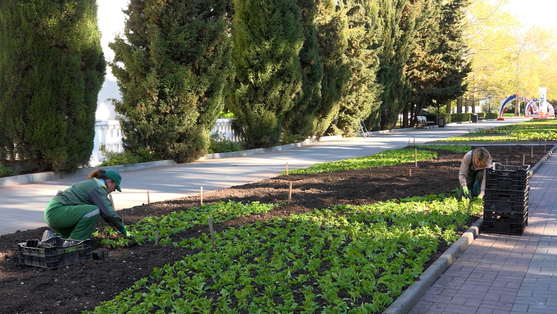 В Севастополе обновляют клумбы