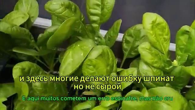 Шесть доступных продуктов, которые помогают получать магний в более естественной и эффективной форме