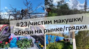 #23/ уборка на участке /местный рынок/грядки