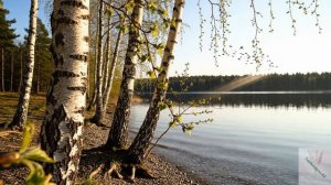 Деревенька