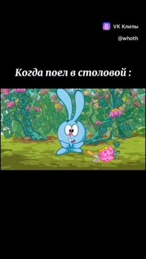 МЕМ!!!