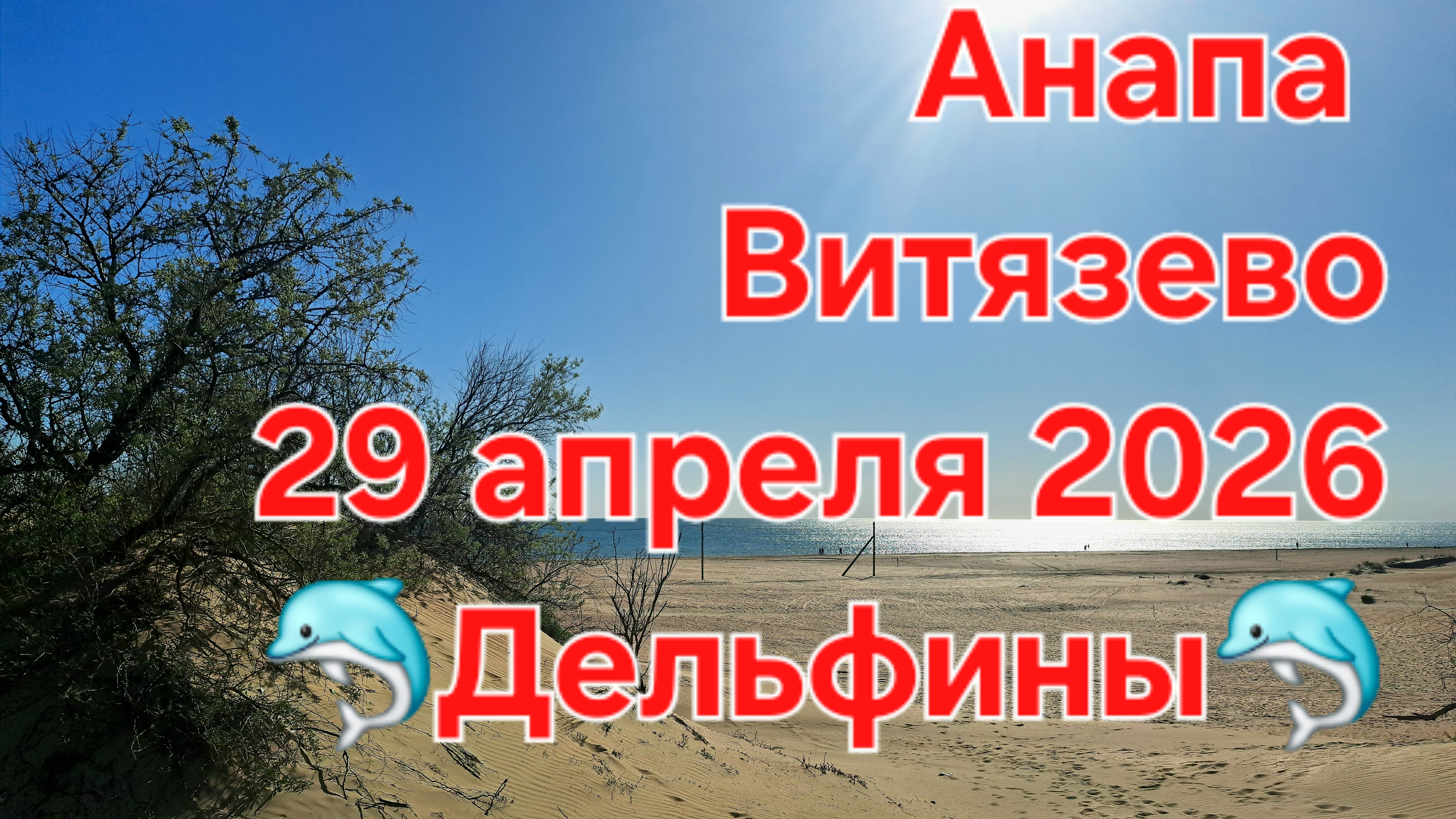 Анапа Витязево Пляж 29 апреля 2026 температура 22С  Дельфины приплыли