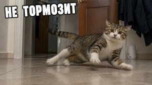 Смех до слёз: лучшие приколы №263