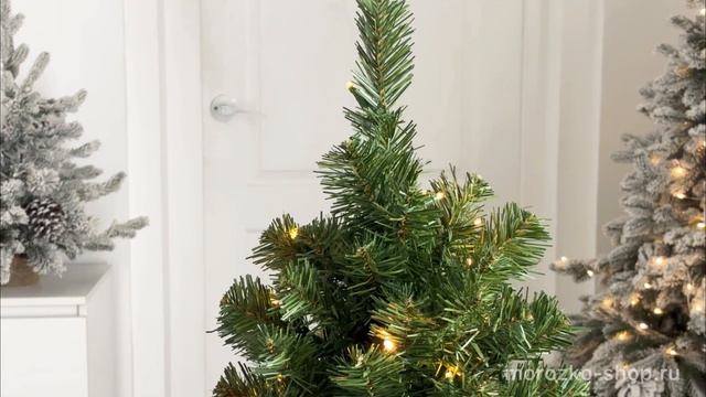 Ель настольная в мешочке Нью нобл спрюс три New Noble Spruce Tree 61 см 31NB2B35LNB-20BP-B