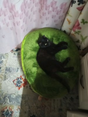 привет, заходите,