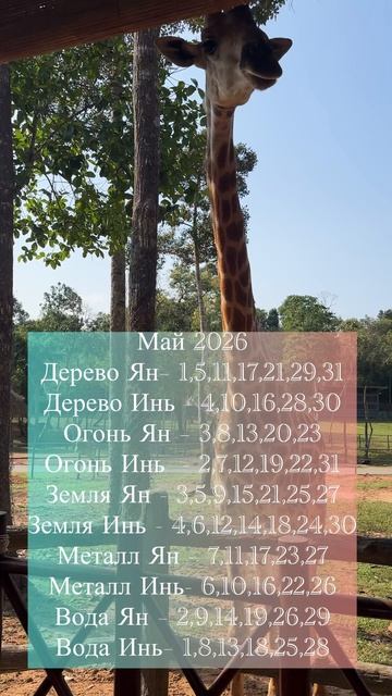 Календарь «Грабители Богатства»