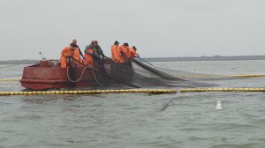 ПУТИНА БУДЕТ СКРОМНЕЕ?